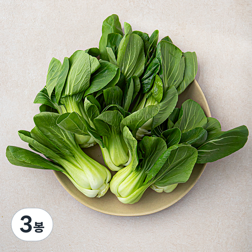 국내산 청경채, 600g, 3개