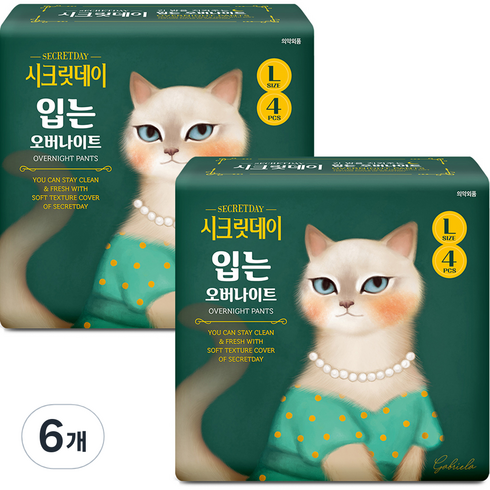 시크릿데이 입는 오버나이트 생리대, 4개입, 6팩