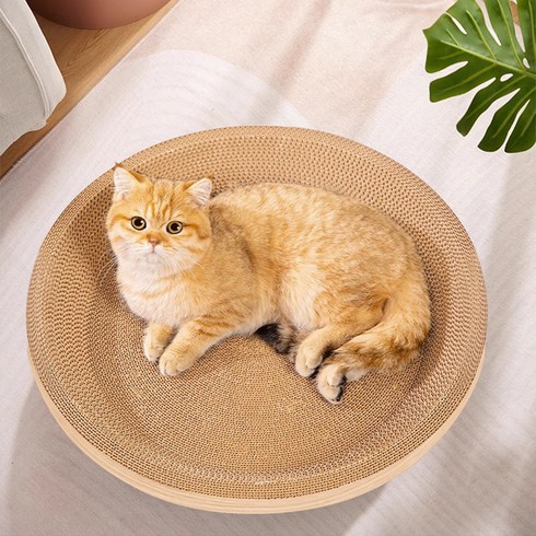 고양이 원형 대형 스크래처 - 코멧 고양이 원형 스크래쳐 53cm, 우드, 1개