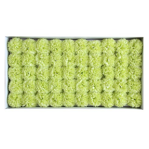 모리앤 프리미엄 DIY 카네이션 비누 꽃머리 50p + 꽃대 50p 세트, 연그린