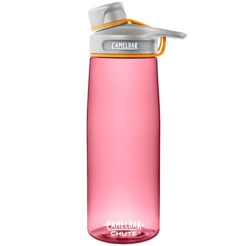 CamelBak 슈트 물병, Cactus Flower, 750ml