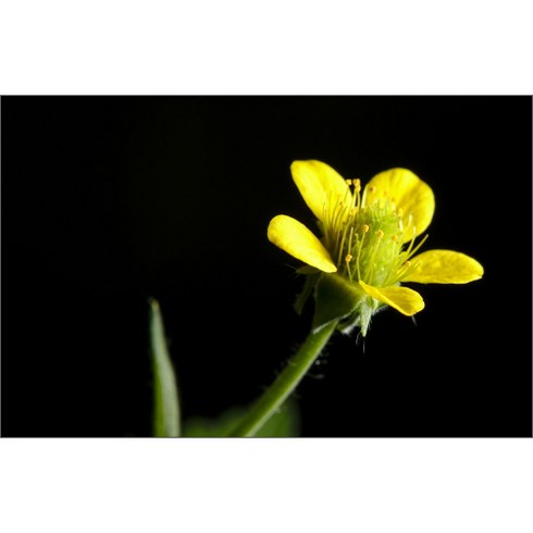 유브이디에스 아트보드 주방시트지 청순2, 1개