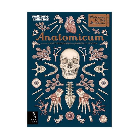 acourtofthornsandroses - Welcome to the Museum : Anatomicum, BigPicturePress