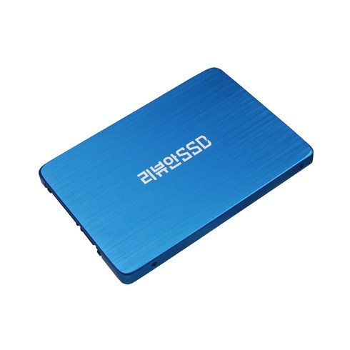 리뷰안 900G 게이밍 SATA SSD, 250GB