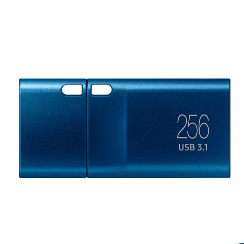 usb3.1 - 삼성전자 Flash Drive Type-C MUF-256DA / APC USB 메모리, 256GB