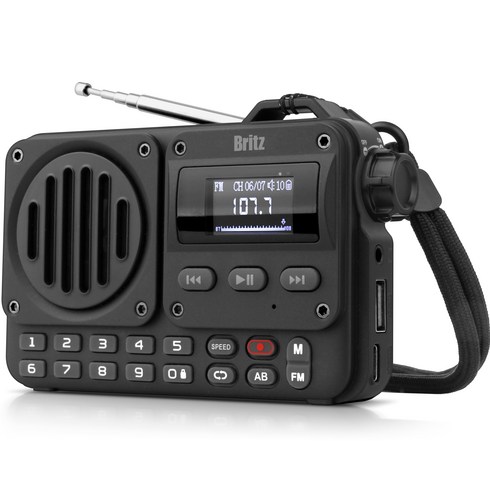 브리츠 블루투스 FM 라디오 스피커 BZ-LV1100, 블랙