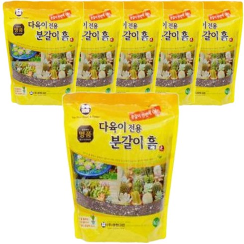 화분월드 다육 선인장 스투키 전용 혼합 분갈이 흙, 6개, 5.5L