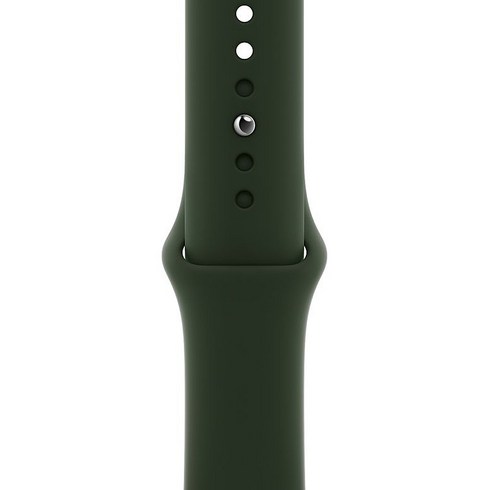 Apple 정품 애플워치 스포츠 밴드, 42/44/45mm, Regular, 사이프러스 그린