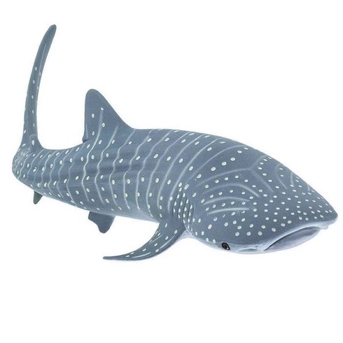 보홀고래상어투어 - 사파리엘티디 422129 고래상어 Whale Shark 피규어, 혼합색상, 1개