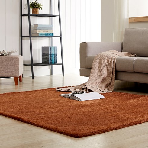 2023년 가성비 최고 러그 - 라뽐므 터치미 롱파일 샤기 카페트