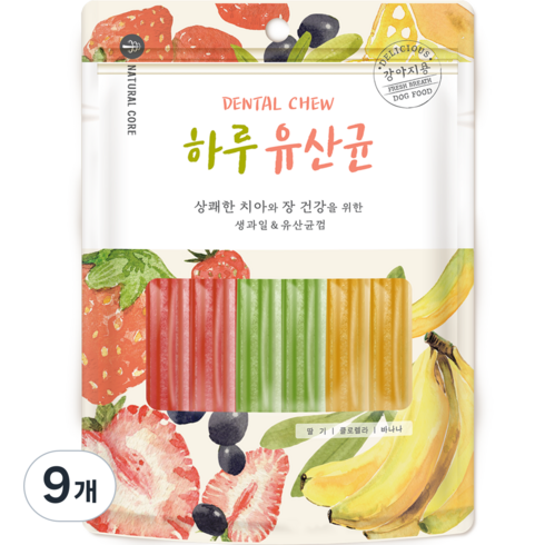 네츄럴코어 강아지 하루유산균 12p, 과일 혼합, 72g, 9개