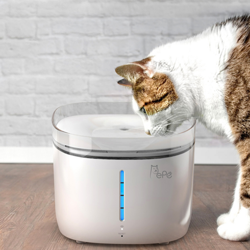 페페 강아지 고양이 살균정수기 2L, CW-100, 혼합 색상