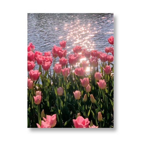 골피아 DIY 그림그리기 꽃 튤립 유화 세트 40 x 50 cm, 핑크