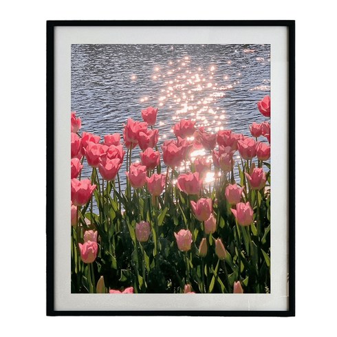2023년 가성비 최고 명화그리기 - 골피아 DIY 그림그리기 꽃 튤립 유화 세트 40 x 50 cm, 핑크