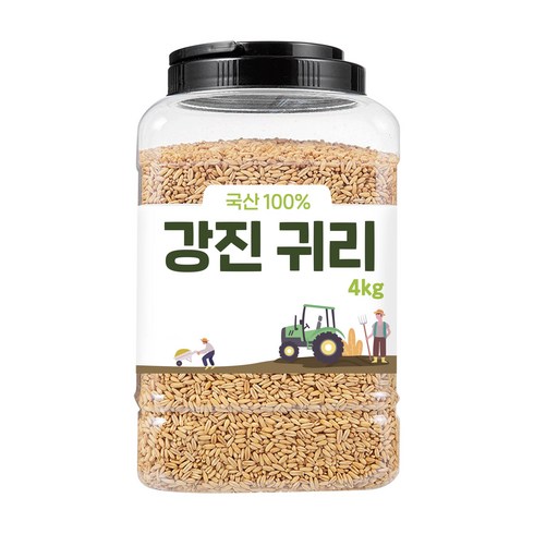 대구농산 2023년산 햇곡 강진 귀리쌀, 4kg, 1개