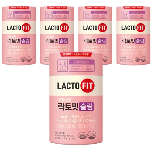 종근당건강 락토핏 슬림 유산균 60p, 120g, 5개