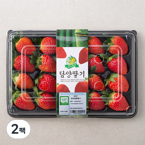 GAP 인증 담양 설향딸기, 550g, 2팩