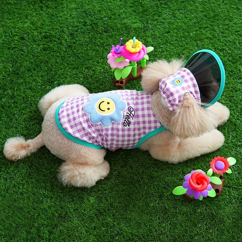 강아지수영복 - 패리스독 강아지 티니스마일 티셔츠 + 썬캡 모자 세트, 바이올렛, 1세트