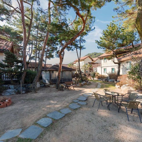 [경북,경주시] [경북][경주시]경주 참맑은아침 애견동반스파펜션