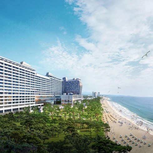 강릉세인트존스호텔 TOP01