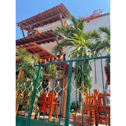 [Zihuatanejo] 호텔 카사 데 라 팔마 B&B