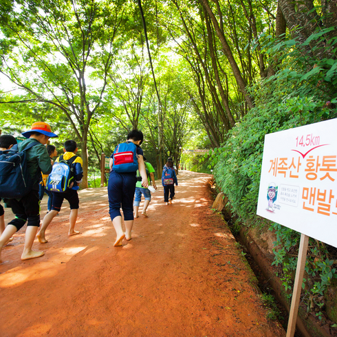 [충북] [지원특가] 대청호~청남대, 명상정원, 대전 계족산 황톳길 당일여행