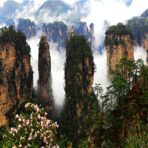 [장사] #모두투어 ■출발확정■[비교불가]★장가계 최고럭셔리호텔 하얏트 숙박★[발마사지+보봉호VIP포함]장사 장가계 원가계+천문산 5일 #아시아나 항공 #CJE501OZA5