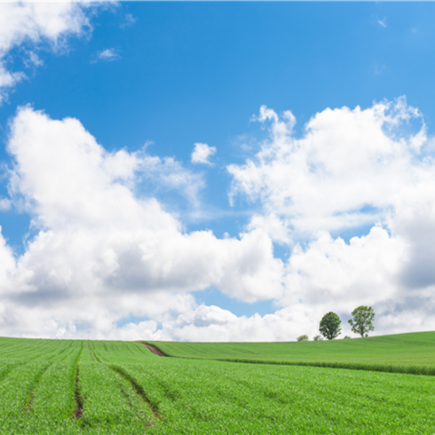 [삿포로] #모두투어 ★출발확정★[홈쇼핑따라잡기] 북해도 감성 힐링여행 4일(비에이/오타루/소운쿄) #에어부산 #BJP671BXCJ