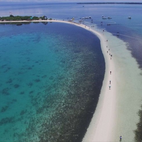 [보홀] [하나투어]인천출발 제주항공 보홀 4일 #APU2307CA #헤난타왈라리조트 #돌핀왓칭