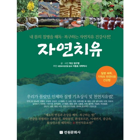 자연치유 - 자연치유:내 몸의 질병을 해독·복구하는 자연치유 건강사전, 전원문화사, 정구영