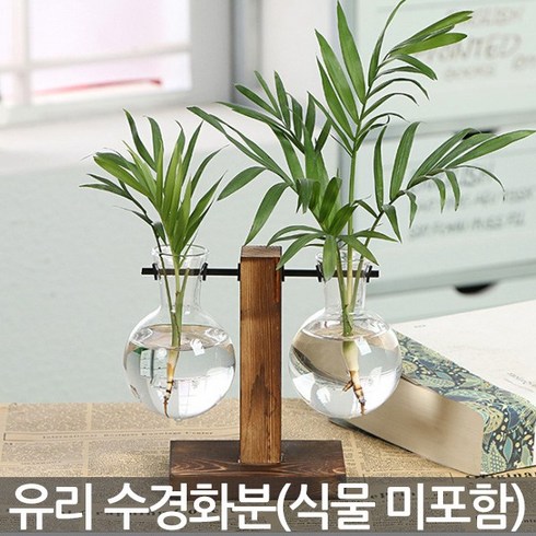 유리 수경화분세트 - 화분 수경화분 유리화분 인테리어화분 병 실내화분 투명화분 식물 유리병 수경재배 책상화분, 02_Sein_스탠드 수경화분(A02), 1개