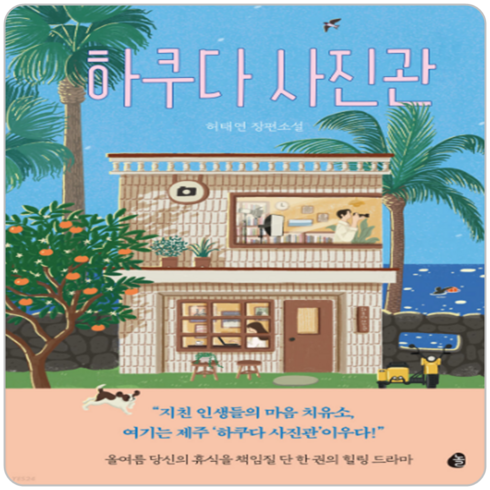 하쿠다사진관 - 하쿠다 사진관 / 놀, 허태연 저