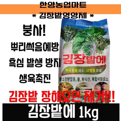 붕사 - 김장밭에 1kg 배추 무 전용 비료 50평사용 텃밭 붕사 붕소 유황 밑거름 속썩음병 기비 추비, 1개