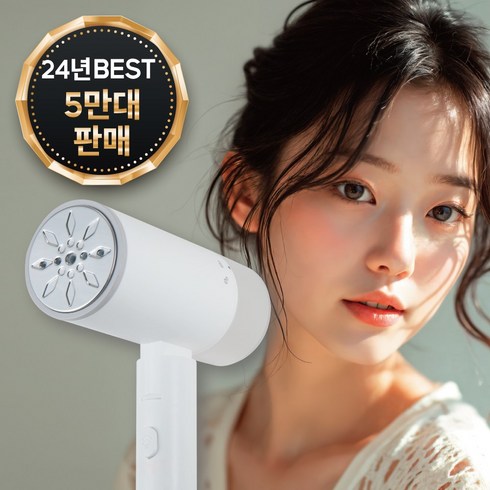 풀라스 폴더블 핸디형 스팀 다리미, FL-IR1000, 화이트