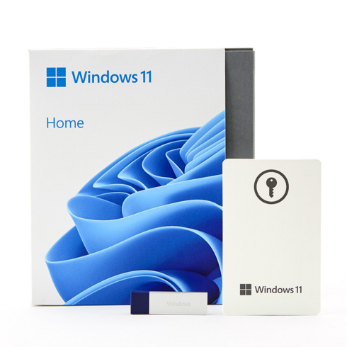 MS Windows 11 Home FPP(USB)