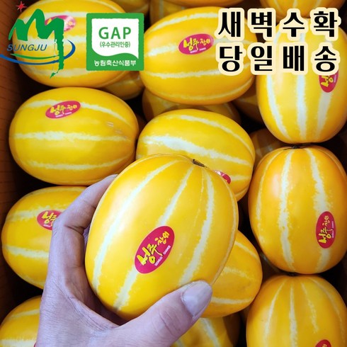 성주 참외 산지직송/당일수확 비파괴 당도선별 (가정용 랜덤과 소과 중과 대과) (정품 중과) 2kg 3kg 5kg 10kg, 1개, 3. 중과 2kg