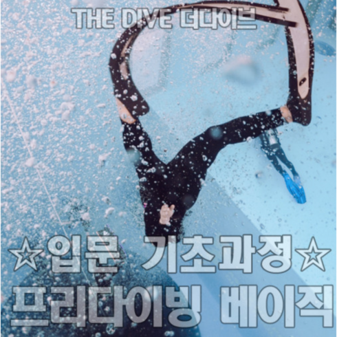 프리다이빙자격증 - 프리다이빙 강습 초급 자격증 라이센스 베이직 오산 동탄