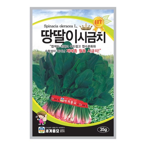 시금치씨앗 - 솔림텃밭몰 시금치씨앗 35g 땅딸이시금치 월동시금치 가을재배용, 1개