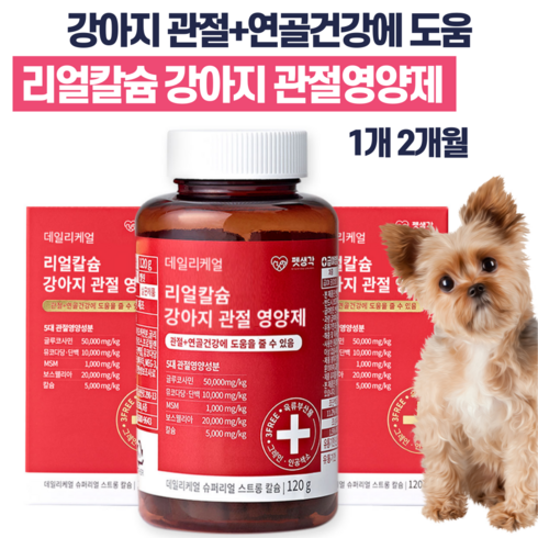펫생각 데일리케얼 리얼 칼슘 강아지 관절 영양제 60정, 1박스
