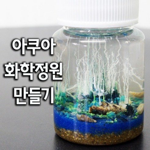 화학정원 - 아쿠아 화학 정원만들기(5인) KTS