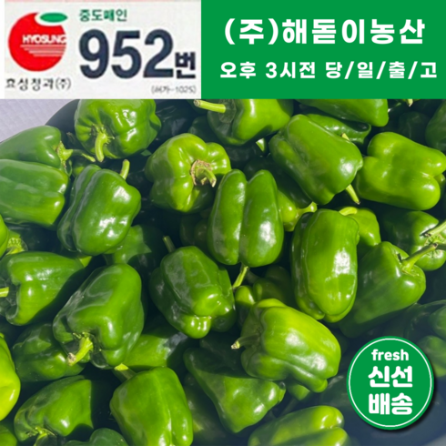 <해돋이농산> 국내산 못난이피망 초록피망 청피망 1kg 3kg 5kg 10kg, 1개”></a>
                </div>
<div class=