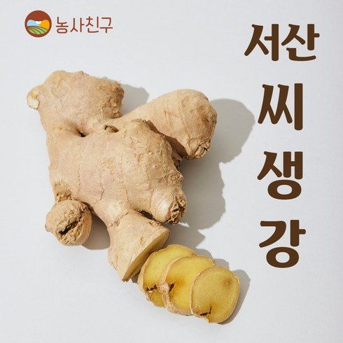 농사친구 서산 씨생강 국산 생강 종자 씨앗 생강씨, 01. 서산 씨생강 1KG + 재배안내장 1장, 1개