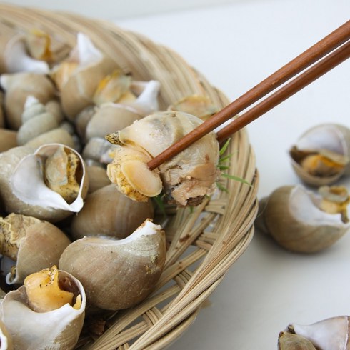 동해안 자연산 백골뱅이/백고동 간편조리, 1개, 자숙 백고동 소 700+700g (60미 내외)