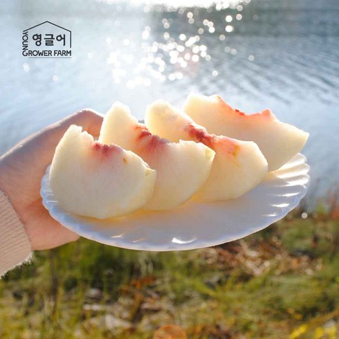 가정용복숭아 - 국내산 설아복숭아 못난이 고당도 쫄깃한맛 (가정용) 산지직송 못난이복숭아 6-8과 (1.6kg), 1박스, 1.6Kg