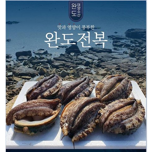 완도보물 활전복1kg(17~19미), 1개