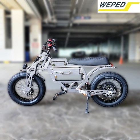 위페드 - 위페드 F1 전기자전거 60V 30Ah WEPED F1 E-bike, 기체만