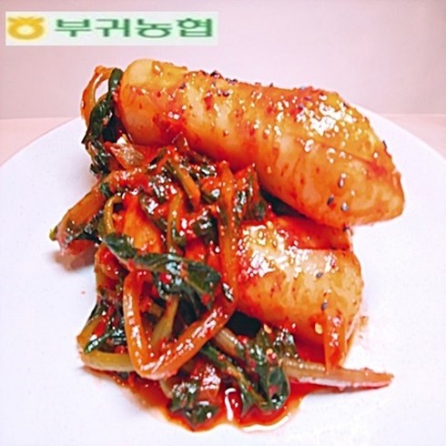 한국농협김치 부귀농협 마이산김치 총각김치 2kg 3kg 국내산재료100%청정진안고랭지배추, 1개