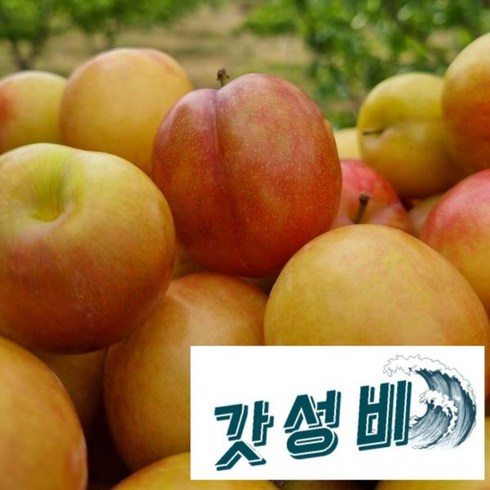 김천자두 두 당도선별 산지직송 2kg 3kg