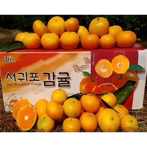 라이네하우스 - [황금농원]서귀포 고당도 조생 귤 첫출하, 5kg[중대과(L-2L)], 1박스