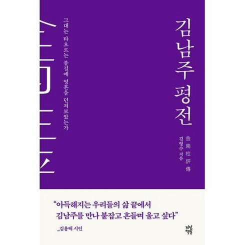 김남주 평전:그대는 타오르는 불길에 영혼을 던져보았는가, 김형수 저, 다산책방